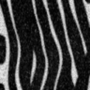 Meet your Posher, Gini